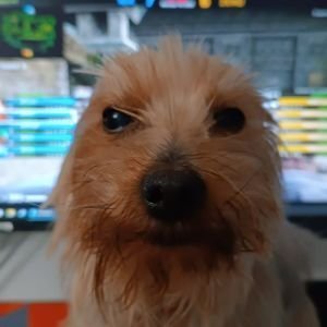 cocowinsss Profile Picture