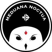 Meduana Noctua (@meduana_noctua) 's Twitter Profile