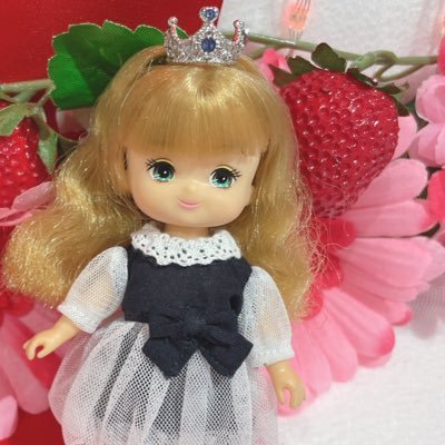 大人になってからリカちゃんにはまりました。リカちゃんとパレットF推し。…のはずが、27cmさん達が急激に増殖中！