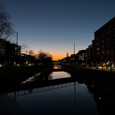 rylanderem's profile picture. 