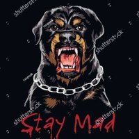 Rottweiler Lover(@Rottweiler66219) 's Twitter Profile Photo