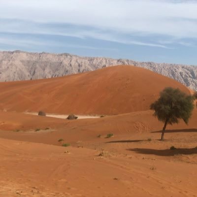 hamed1080's profile picture. لا تـهتم بـمن يـتجاهلك فــ هناك أشـخااص عـندما تـنتهي مـصالحهم تـنقطع أخـباارهم !!