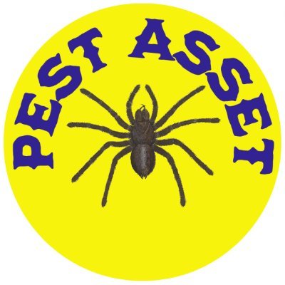Pest Asset