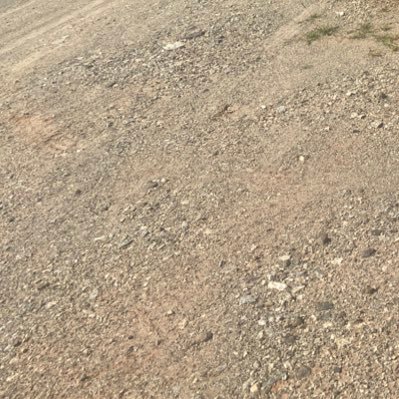 buhleehh's profile picture. Helping each other