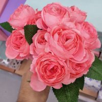 موجب كاش (@lhnwf09346356) Twitter profile photo