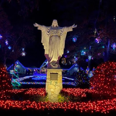 AmazingFac91170's profile picture. 