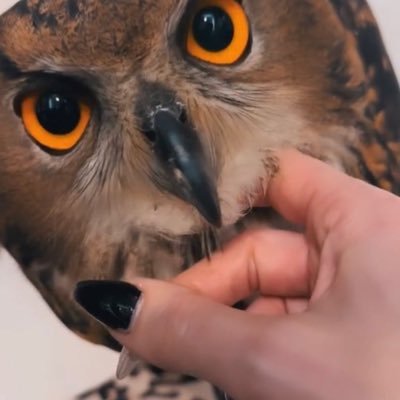 zubairalin's profile picture. Following you Please Follow Back.