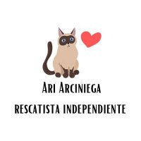 Ari Arciniega(@Ari_Arciniega6) 's Twitter Profileg