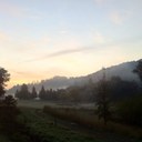 marcus tomlin - @MarcusTomlin - Twitter