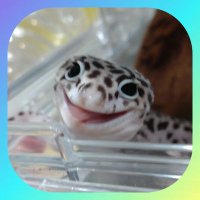 まろん (@mocha_tic) 's Twitter Profile