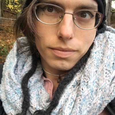 Sh*t posting trans femme leftist and contributor to the Asheville Blade. Convicted for the act of journalism. Appealing.