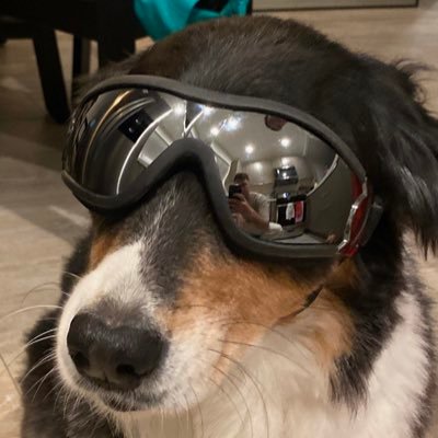 haterinallred's profile picture. welcome to my hater account. no one is safe