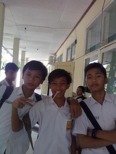 BatreP's profile picture. 