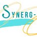 Synerg-IE's (@Synerg_IEs) Twitter profile photo