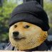 CartiD (@cartidhe) Twitter profile photo CartiD (@cartidhe) Twitter profile photo