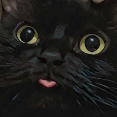 mmother_of_cats Profile Picture