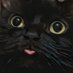 видра хоче спати 🇺🇦 (@mmother_of_cats) Twitter profile photo видра хоче спати 🇺🇦 (@mmother_of_cats) Twitter profile photo