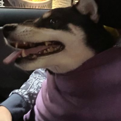 yoshida_yu49206's profile picture. 