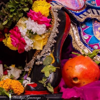 Rishu300's profile picture. 