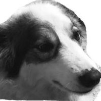 RiaPublishing (@publishingria) 's Twitter Profile