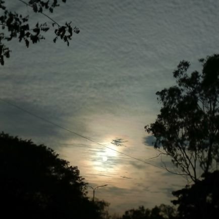 bothara_harsh's profile picture. 