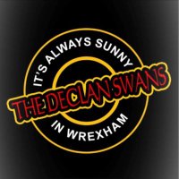 Declan Swans (@declanswans) 's Twitter Profile