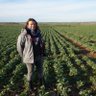 sevjeanneau's profile picture. agronome #agriculturefrancaise #filière #environnement #FrAgTw  @CortevaFR 
Mes tweets n'engagent que moi