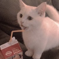 peach🍑⃤ (@peachiprism) 's Twitter Profile