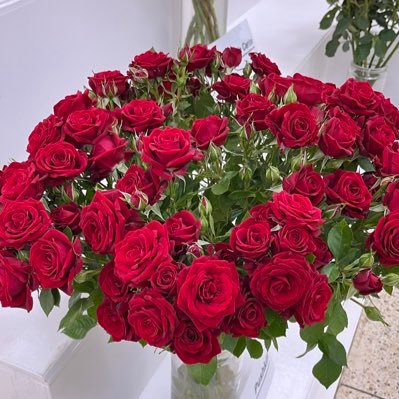 Postharvest_Edu's profile picture. A cut flower post-harvest consultant working with Kenyan growers to ensure consistency in quality of exportable stems.