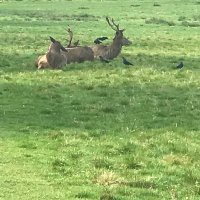 Tinderland (@bigpodomek) 's Twitter Profile