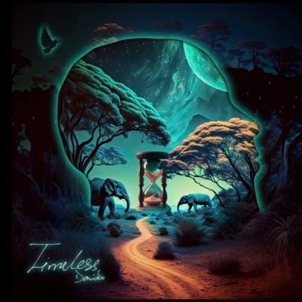 _taiwoazeez's profile picture. Cool life