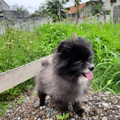 dearjwwnbin's profile picture. talk about random thing - Minor and Homophobic don’t follow me - Indonesian living in Bangkok - NCT127 Jungwoo 🩵🩷 SkyNani