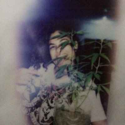 chamaervinha's profile picture. sempre de canto