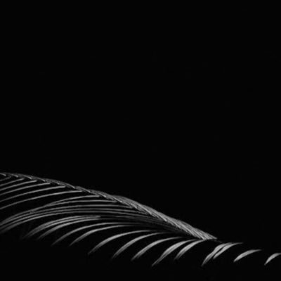 AlejandraSLen2's profile picture. .