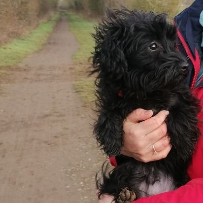 iamsamjai's profile picture. Travelling
Gaming
Hiking
Adverturer