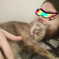 ImShyRys (@imshyrys) 's Twitter Profile