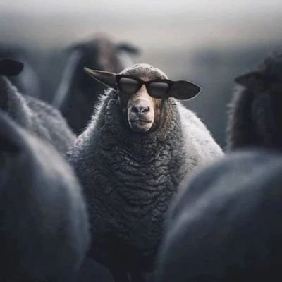 MMmeysamnejati1's profile picture. Engineering