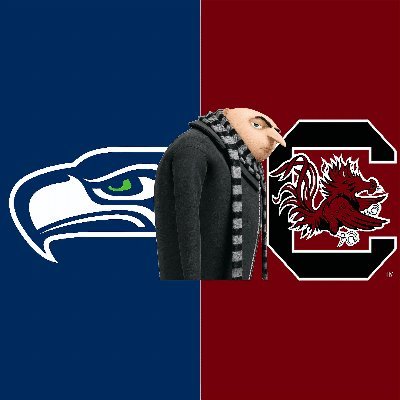 Full-Time @Gamecockfb and @Seahawks fan, Part-Time troller “Gorls!”