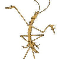 Stick Bug League (@stickbugleague) 's Twitter Profile