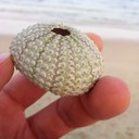 Mohammad Alrasheed - @MohammadRushaid - Twitter