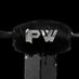 IPW: Independent Pro Wrestling (@IPWCanada) Twitter profile photo