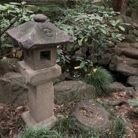 hslt (@hsltplants) Twitter profile photo