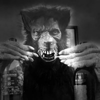 Lycan Blud (@bludlycan) 's Twitter Profile
