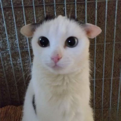 kastal__'s profile picture. Give thought to the toil behind each bowl of rice and gruel