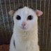 jame (@kastal__) Twitter profile photo jame (@kastal__) Twitter profile photo