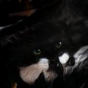 Bailey Vargas - @BaileyV87634756 - Twitter