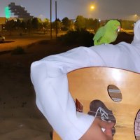 ๐ค (@_0kpl) 's Twitter Profile