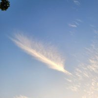 White Feather🇺🇸🇨🇱🇬🇧🇮🇹 (@gregferna) 's Twitter Profile