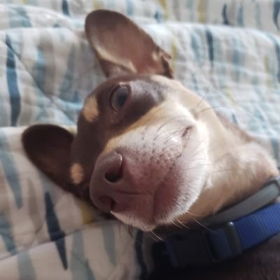 TV4800's profile picture. 