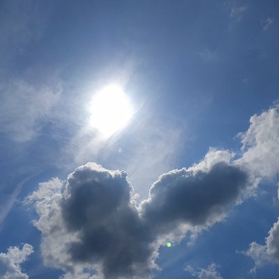 wolker1989's profile picture. 